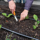 Nifty Weeder &ndash; N504 Weeders and Cultivators