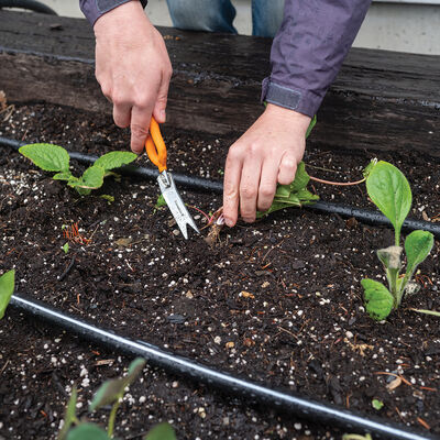 Nifty Weeder &ndash; N504 Weeders and Cultivators