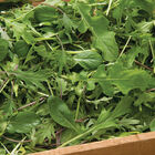 Ovation Greens Mix Greens Mixes