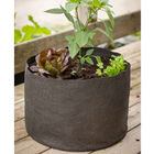 Smart Pot&reg; &ndash; 10 Gal. Grow Bags