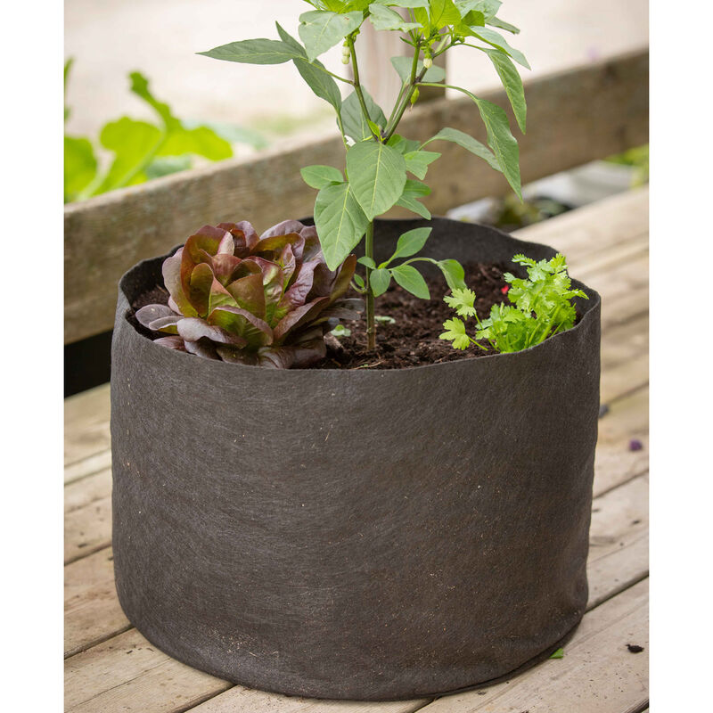 Smart Pot&reg; &ndash; 10 Gal. Grow Bags