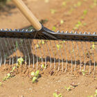 Tine Weeding Rake &ndash; 21" Hoes & Cultivators