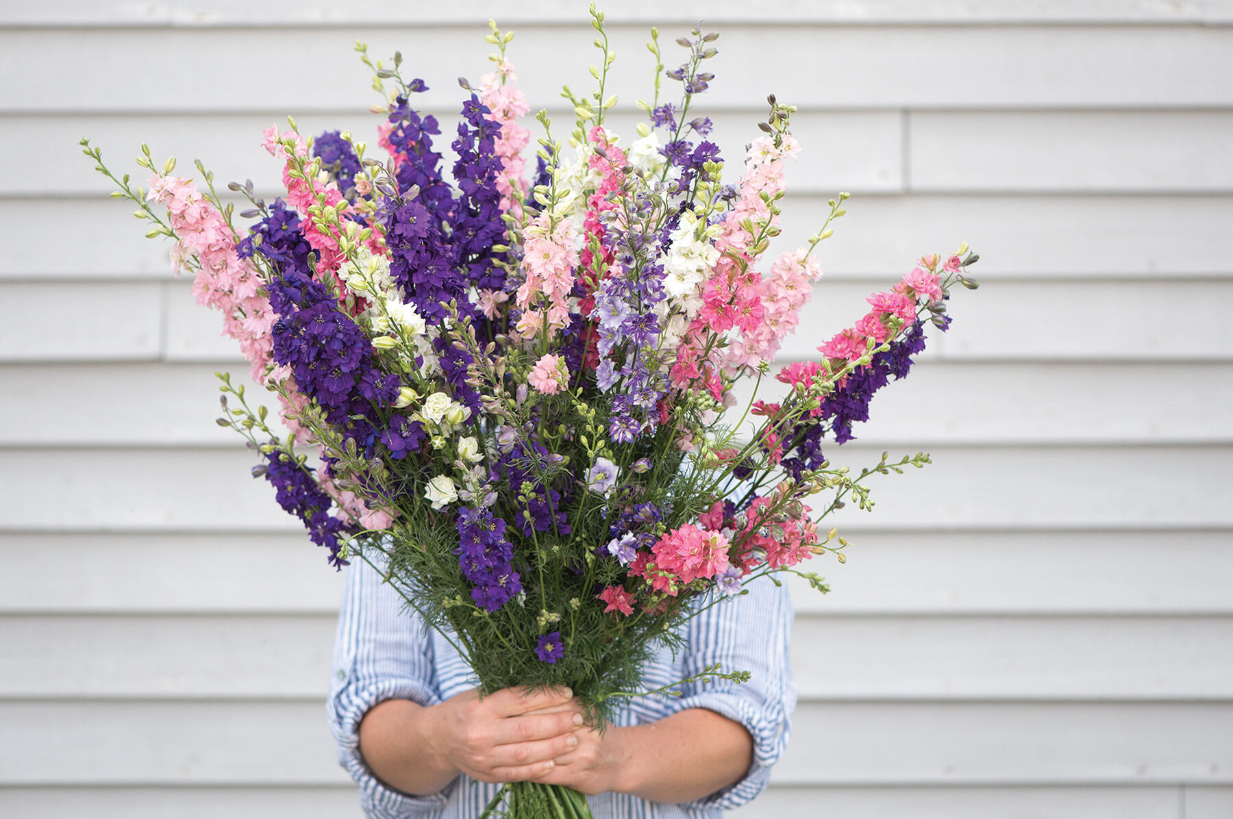 Johnny's Sublime Formula Mix Larkspur