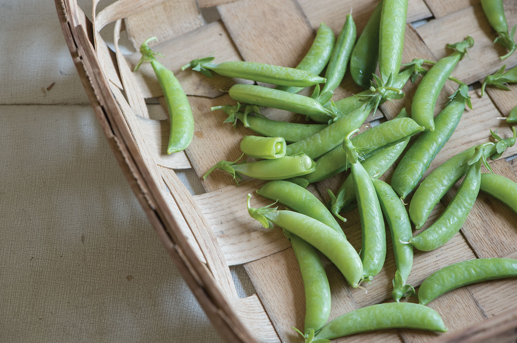 Sugar Ann Snap Peas