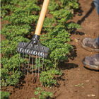 Tine Weeding Rake &ndash; 6" Hoes & Cultivators