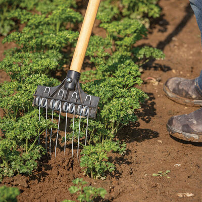 Tine Weeding Rake &ndash; 6" Hoes & Cultivators