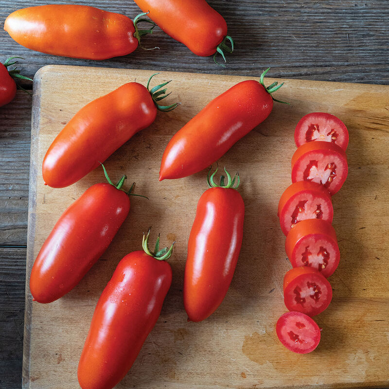 Amalfi Paste Tomatoes