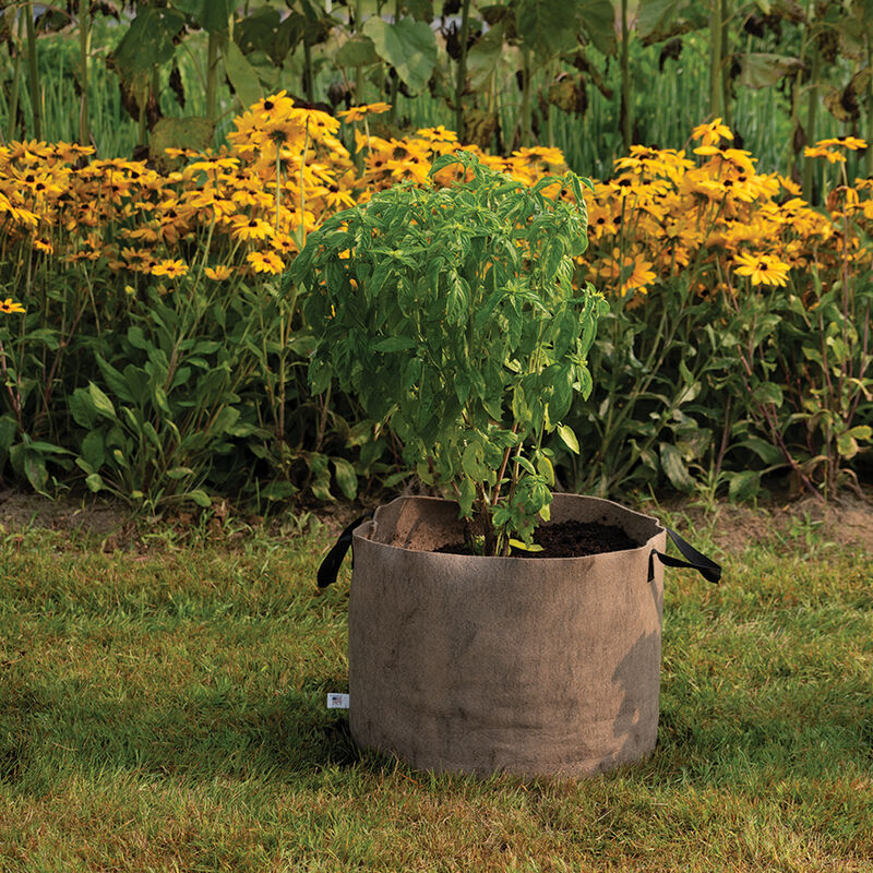 Smart Pot&reg; Natural &ndash; 20 Gal. Grow Bags