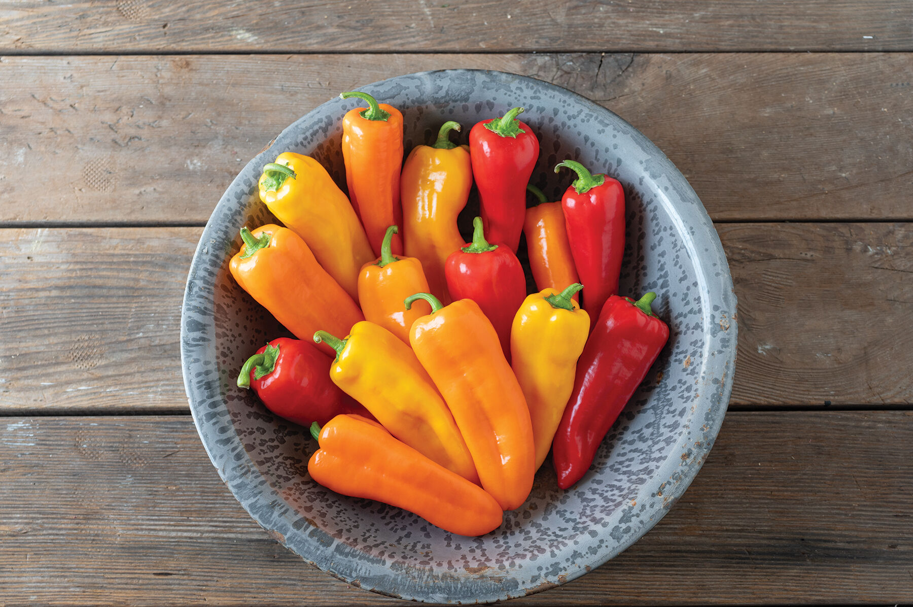 Cornito Pepper Mix Gourmet & Easy to Grow