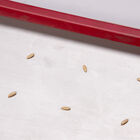 Seed Plate E36 Seed Starting Supplies