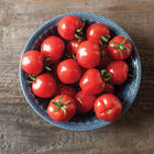 Mochi Cherry Tomatoes
