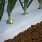 White on Black Mulch &ndash; 4' x 4,000' Mulch Films