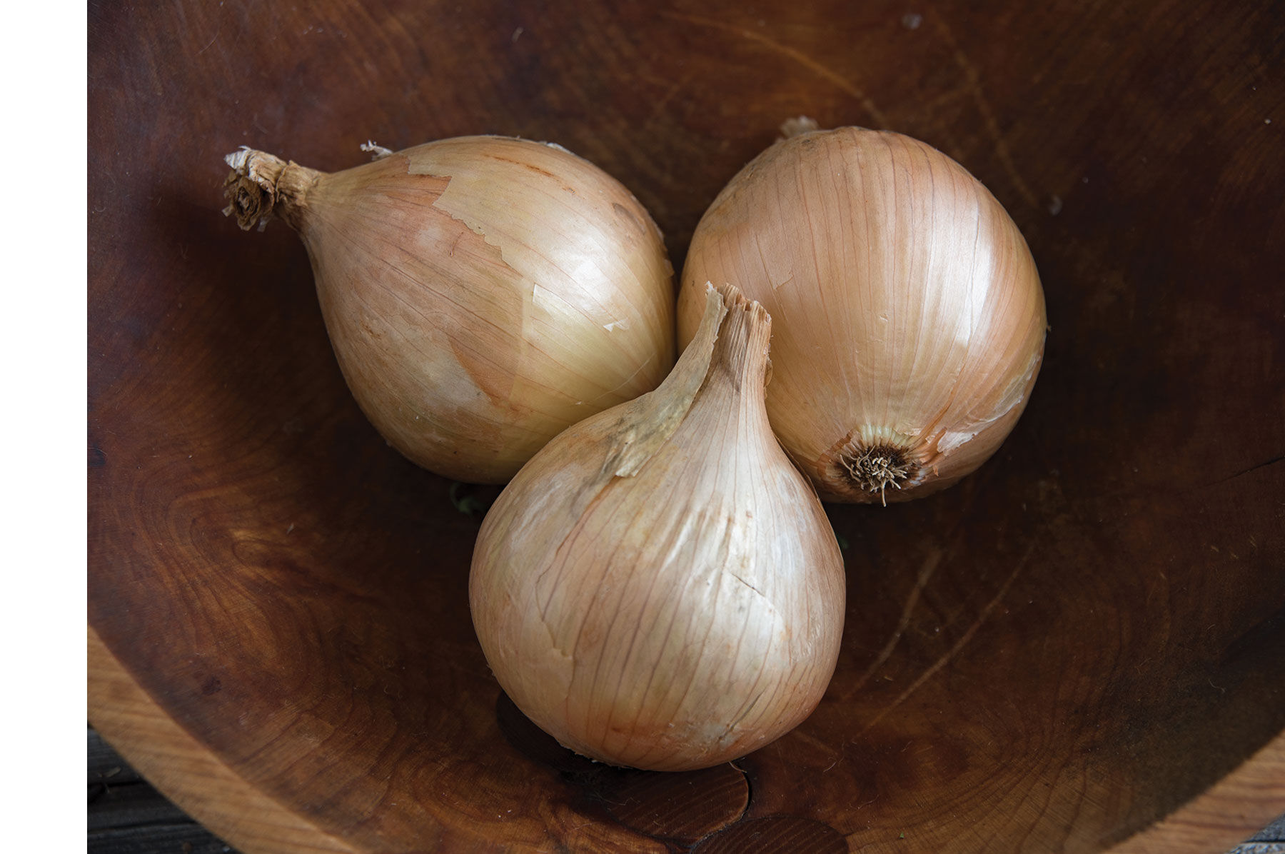 Ailsa Craig Full-Size Onions