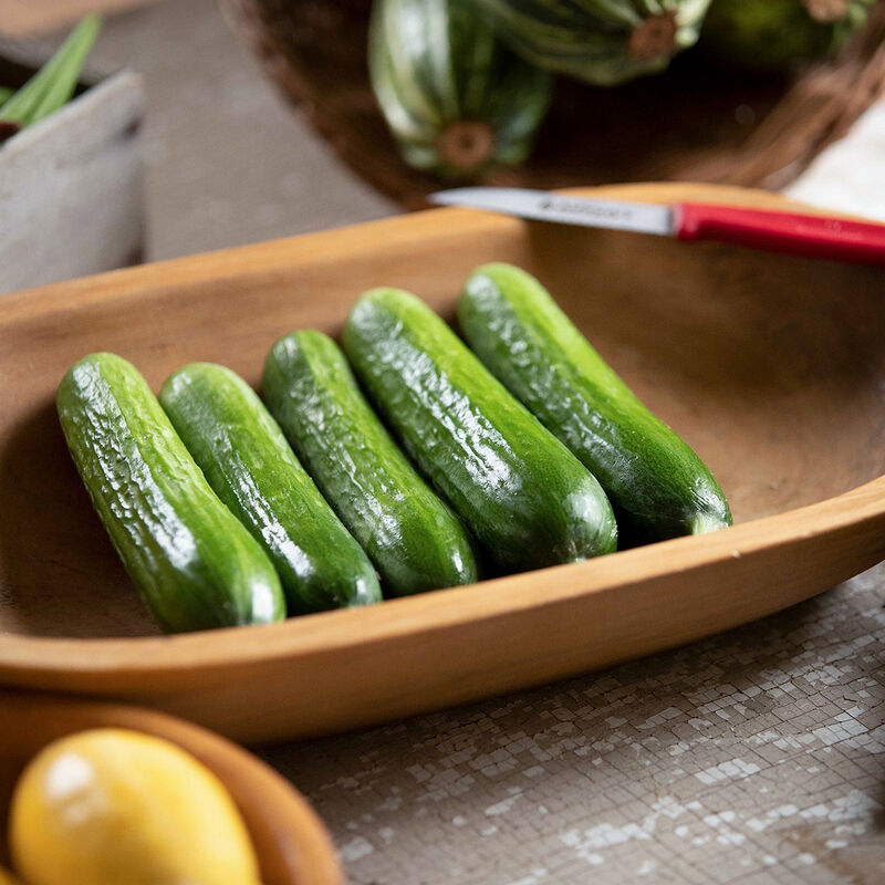 Picolino Seedless and Thin-skinned Cucumbers