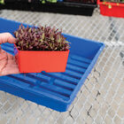 Polypro 5x5 Insert Pots &ndash; Red, 8 Count Plastic Pots