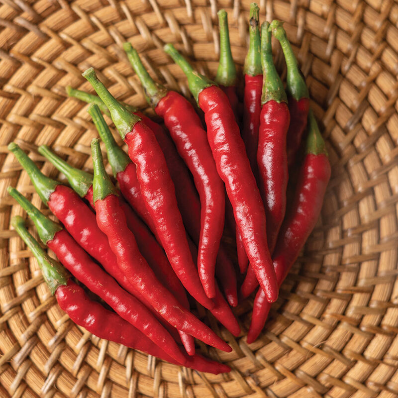 Bottle Rocket Hot Peppers