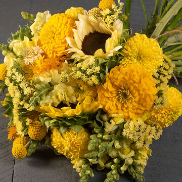 null Yellow