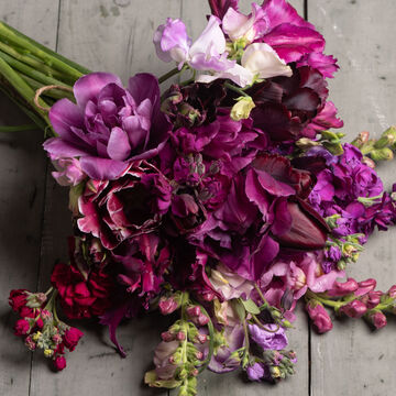 null Purple