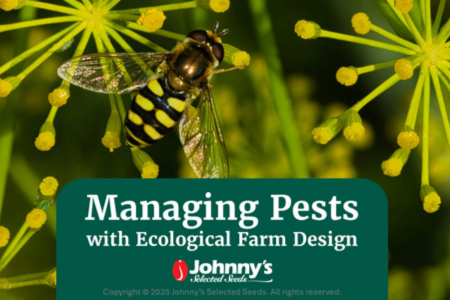 Webinar: Managing Pests with Ecological Farm Design