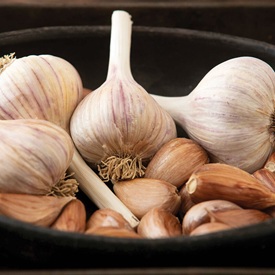 Garlic