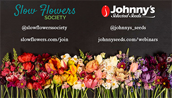Slideshow: Floral Trends 2021 Recap - 15-pp PDF