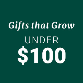 Gifts under $100