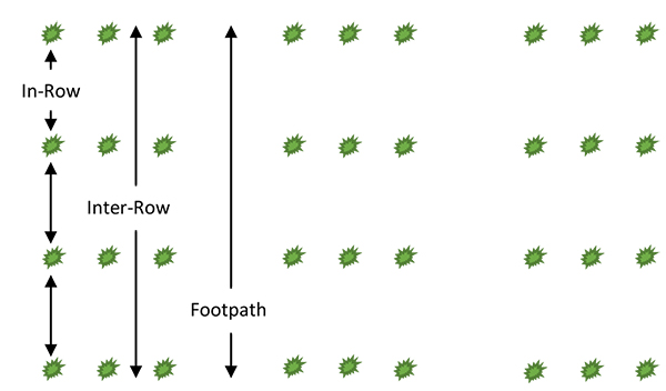 Types of cultivation