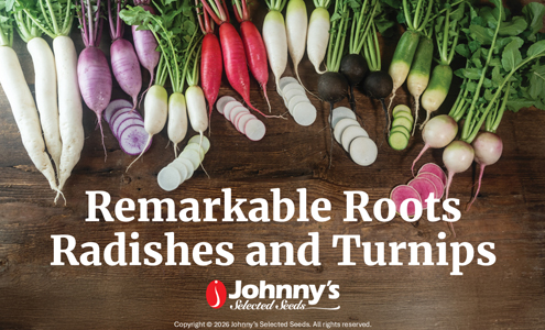 Remarkable Roots
