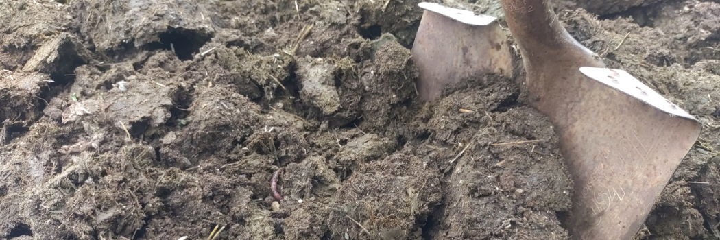 aged manure