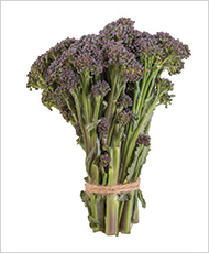 Burgundy mini broccoli