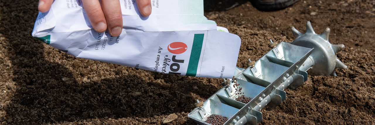 Direct sowing at the research farm