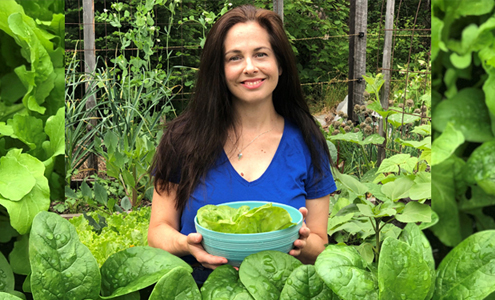 Growing a Salad Garden