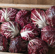 Speeder radicchio