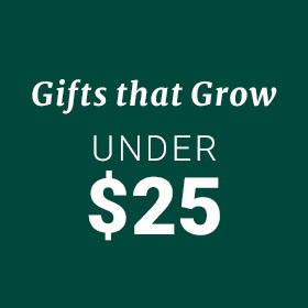 Gifts under $25