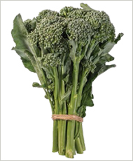 BC1611 mini broccoli