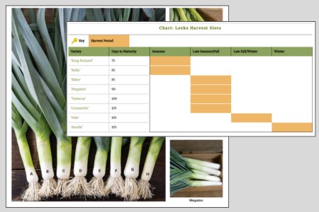 Leek Harvesting Program