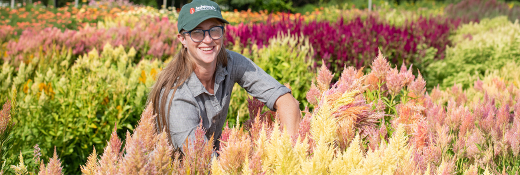 Emily Starck in field of celosia 
