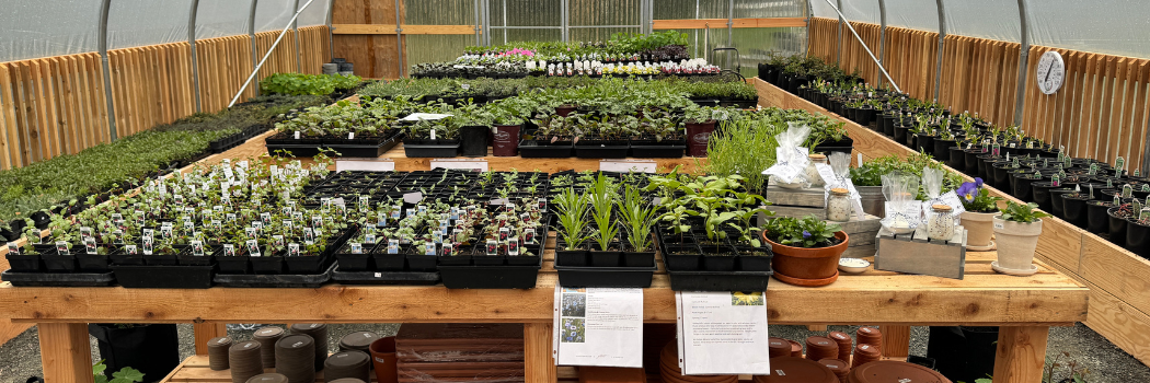 flower farmstand