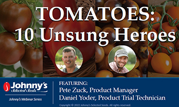 Tomatoes: 10 Unsung Heroes Recap/Slideshow • 34-pp PDF