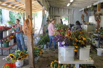making bouquets in the flower den