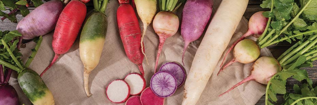 Radish Planting Program