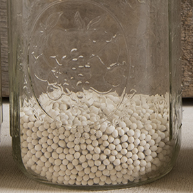 How to Grow Pelleted Carrots