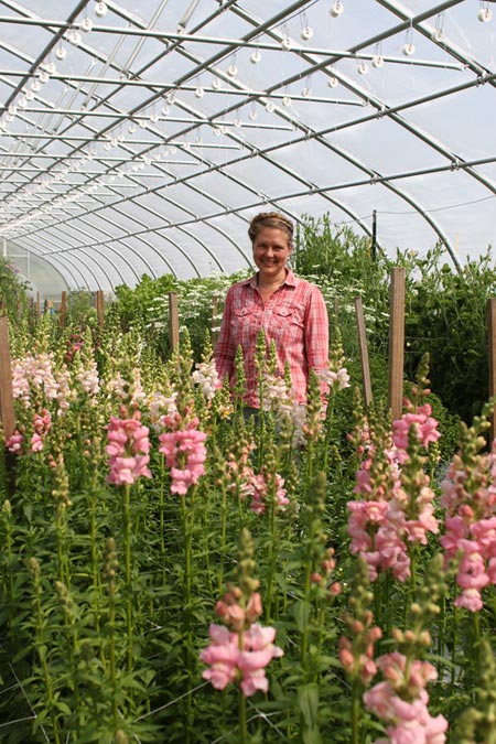 Joy with her overwintered snapdragons in the tunnel. Photo taken May 25.