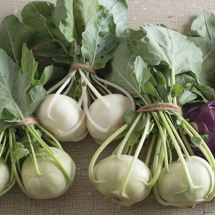Brassicas