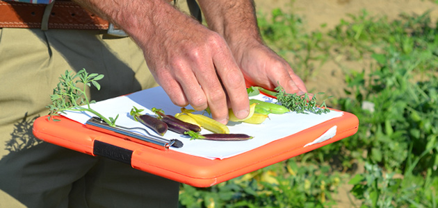 How to Conduct Variety Trials on Your Farm How to Conduct Variety Trials on Your Farm