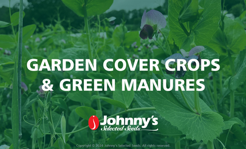 Garden Cover Crops: Webinar
