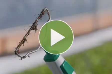 Johnny's Connecta® Cultivation Kit Video