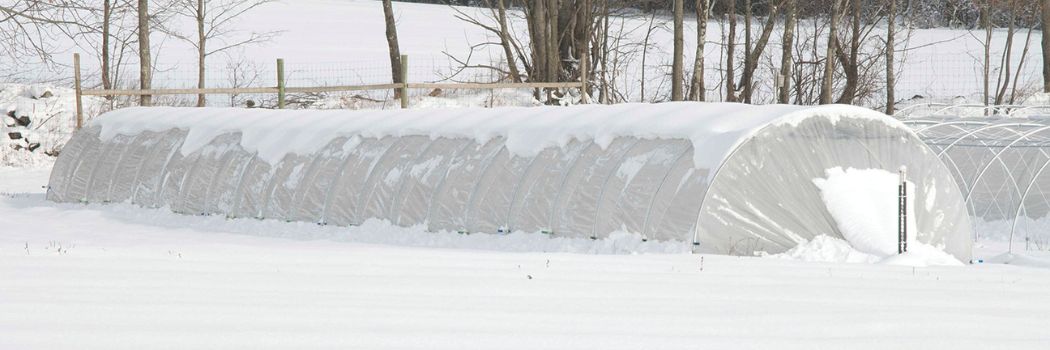 Winter Low Tunnel Protection Methods Winter Low Tunnel Protection Methods