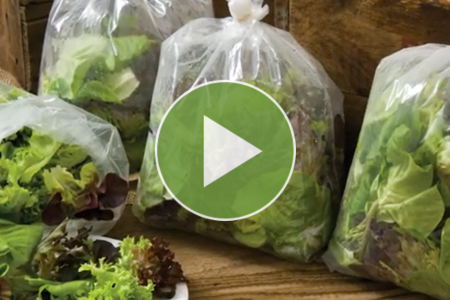 video thumbnail - salanova lettuce