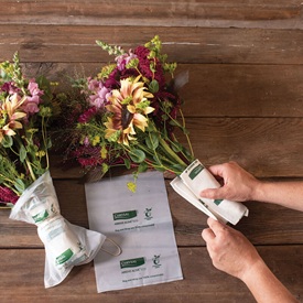 Cut-Flower Supplies